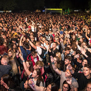 Crowd enjoying the show